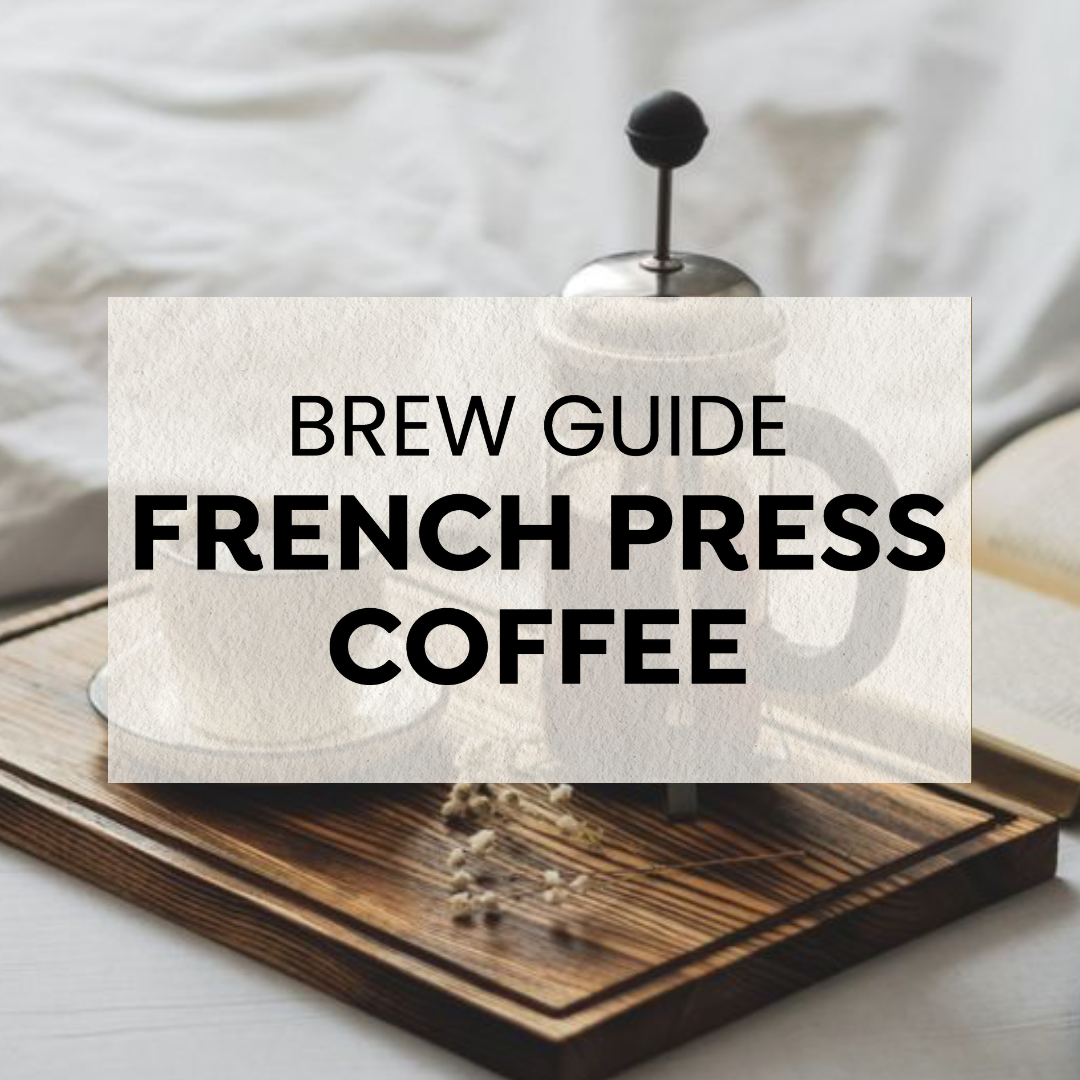 How to Use your French Press