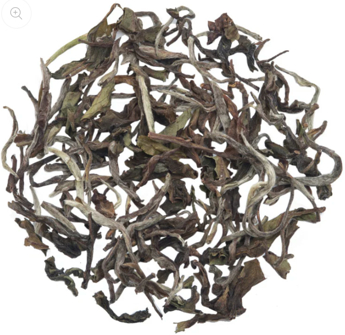 Glenburn Darjeeling Moonshine Tea (2025 Harvest)