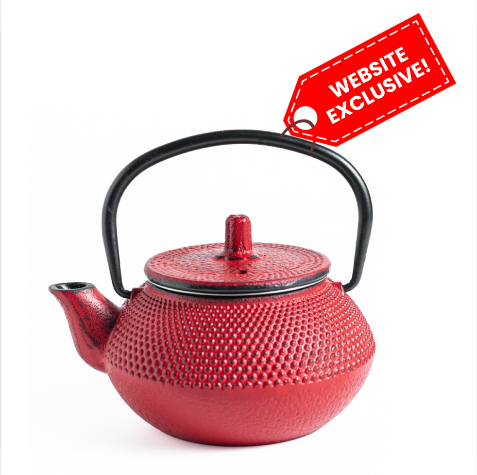Sichuan Japanese Tea Pot Kettle with Infuser - 250ml