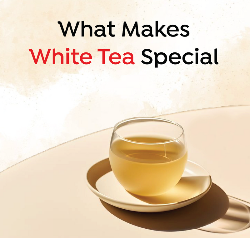 What Makes White Tea Special