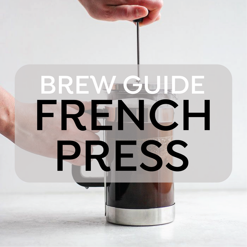 How to Use your French Press