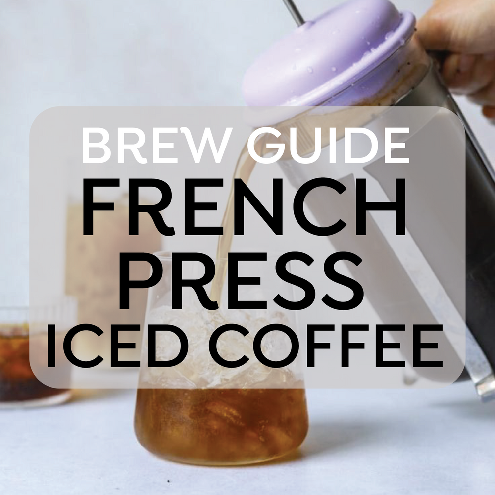 How to make iced coffee using French Press Sipologie