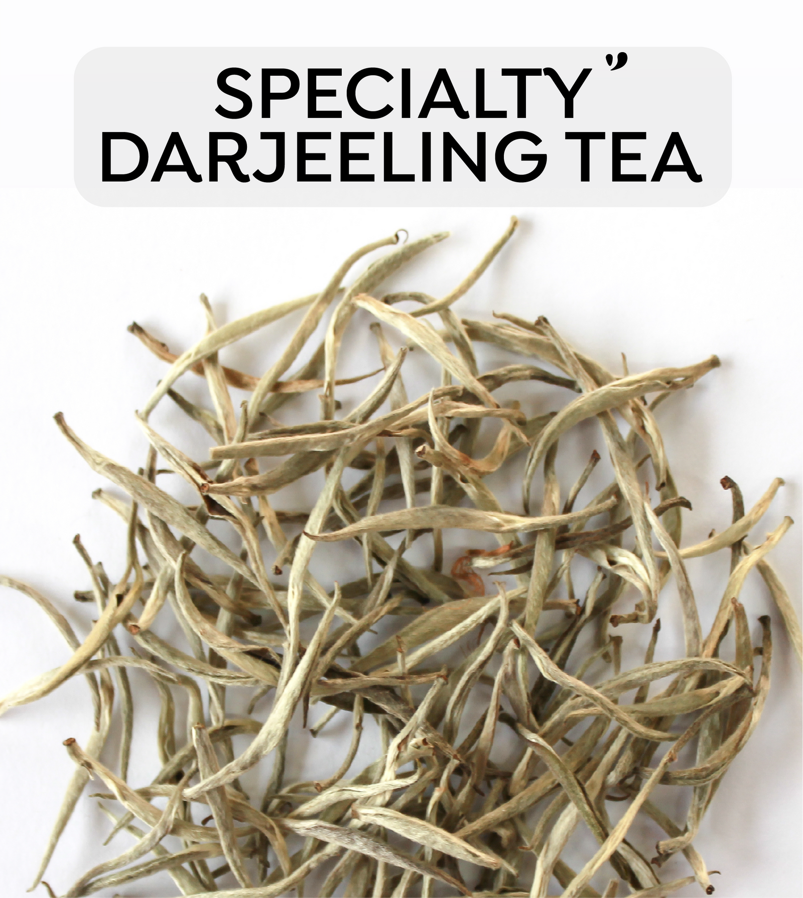 Specialty Darjeeling Tea