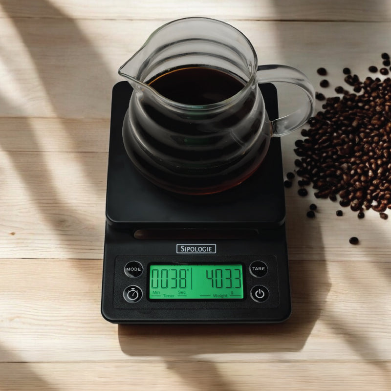Precision Weigh Scale